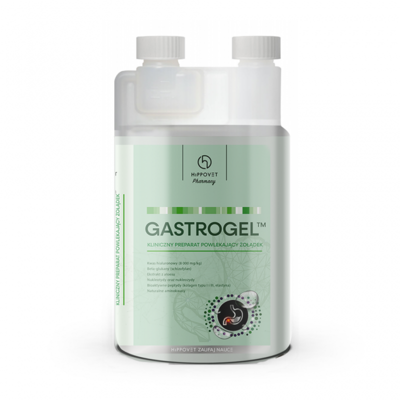 Hippolyt Pharmacy GASTROGEL 1,2l