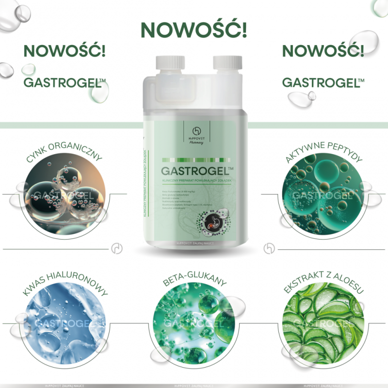 Hippolyt Pharmacy GASTROGEL 1,2l