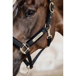 Kentucky kantar Velvet czarny