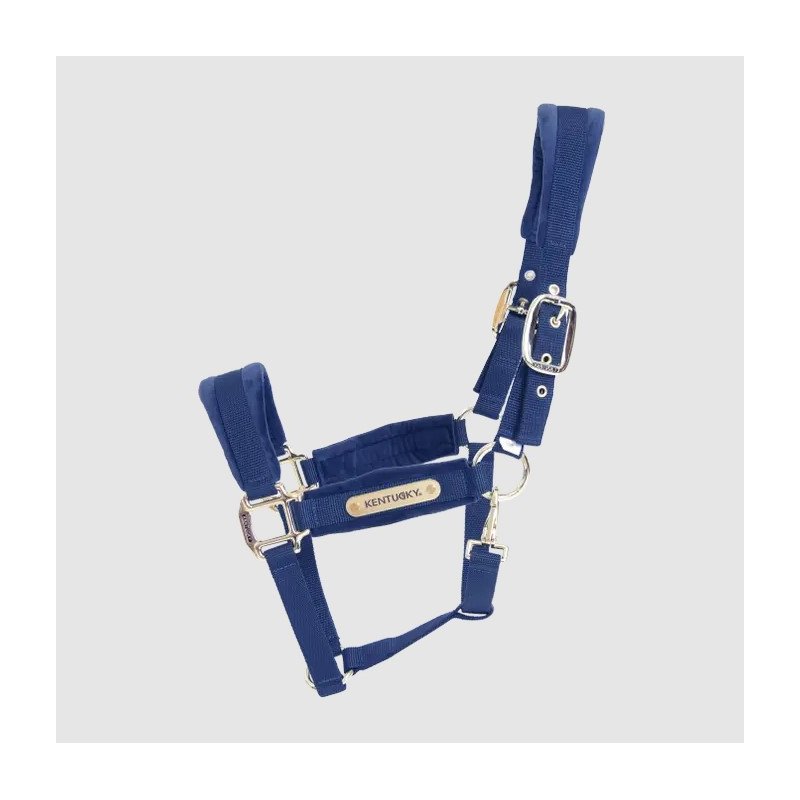 Kentucky kantar Velvet granatowy
