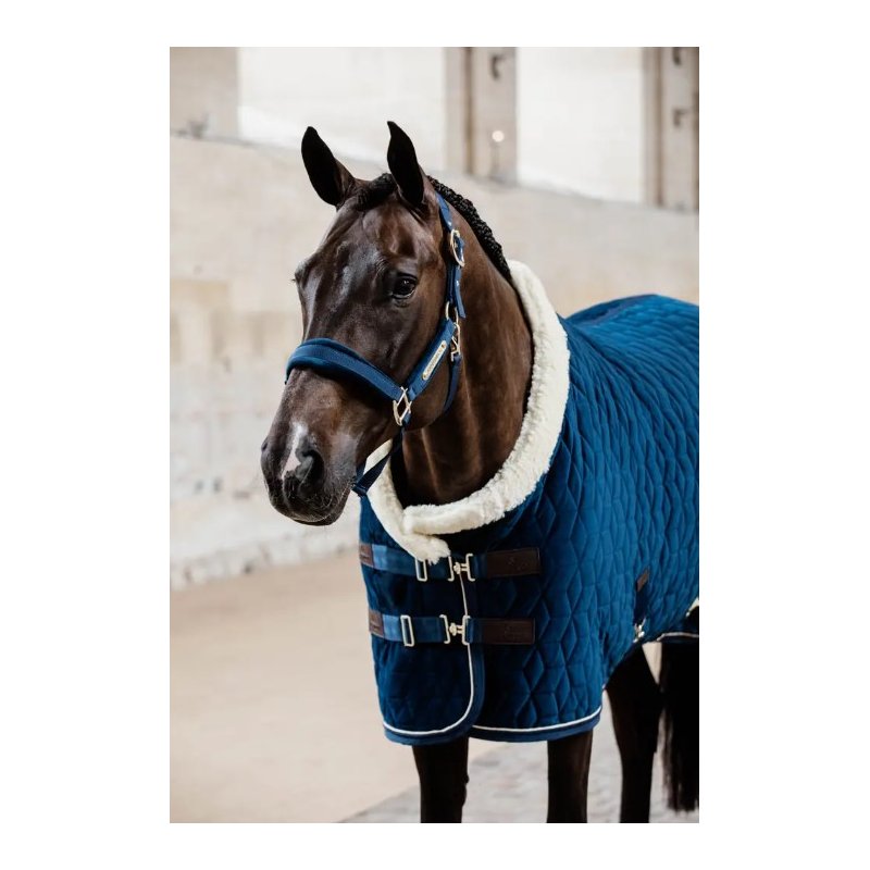 Kentucky kantar Velvet granatowy