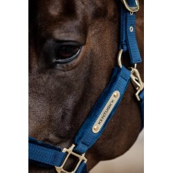 Kentucky kantar Velvet granatowy