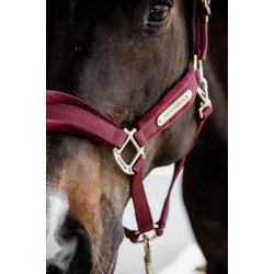 Kentucky kantar Velvet bordowy