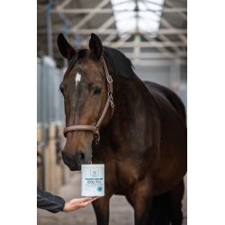 Hippovet Pharmacy Izolitol elektrolity kliniczne 1 kg