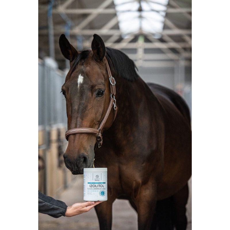 Hippovet Pharmacy Izolitol elektrolity kliniczne 1 kg