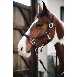 Kentucky kantar pleciony Plaited granatowy