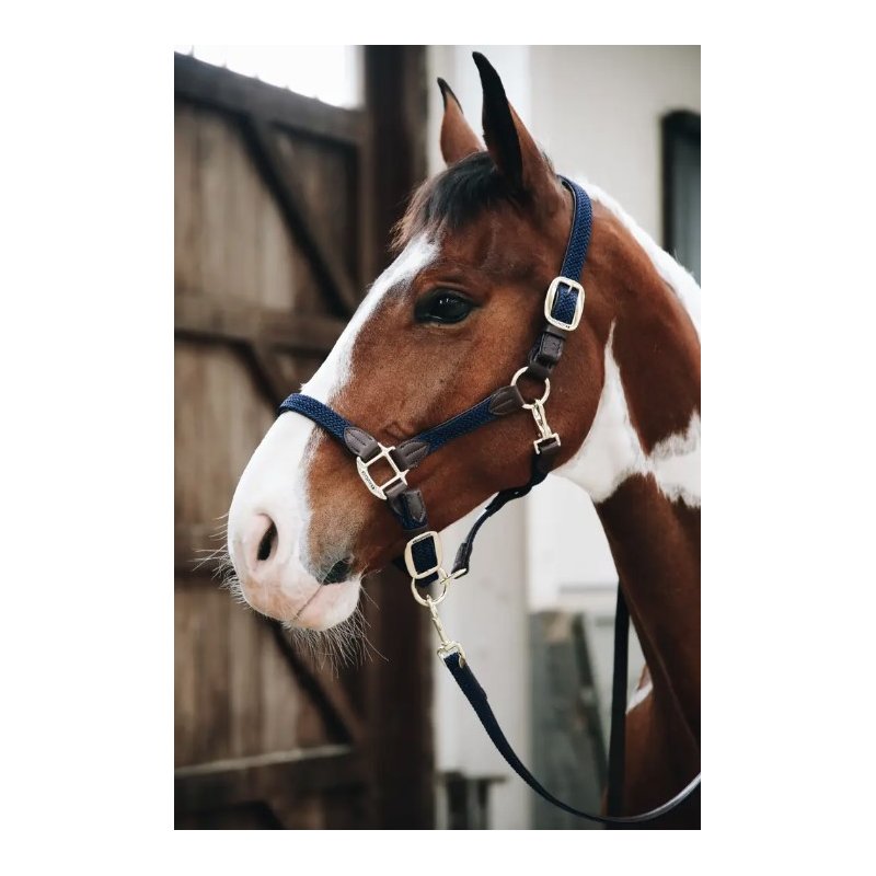 Kentucky kantar pleciony Plaited granatowy