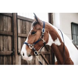 Kentucky kantar pleciony Plaited granatowy