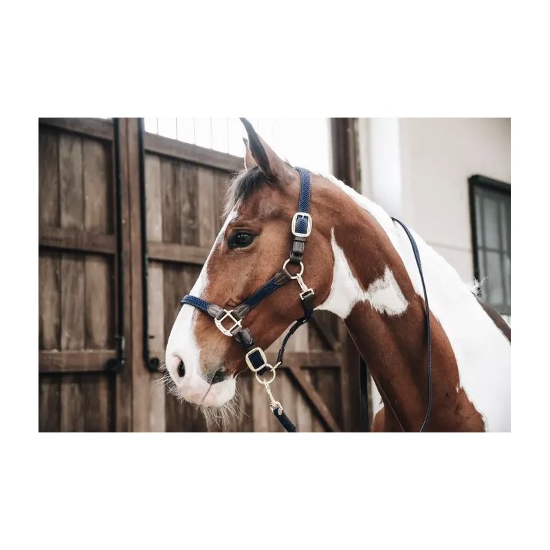 Kentucky kantar pleciony Plaited granatowy