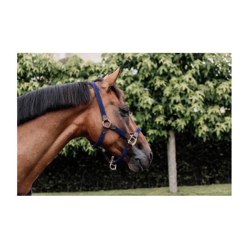 Kentucky kantar pleciony Plaited granatowy