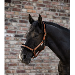 Waldhausen kantar Elegant cinnamon