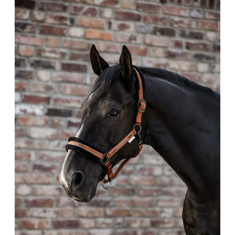Waldhausen kantar Elegant cinnamon