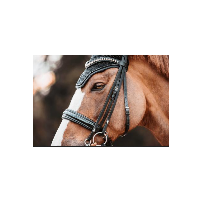 Kentucky nauszniki Wellington Glitter Band czarne