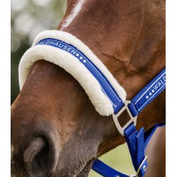 Waldhausen kantar Elegant saphire blue