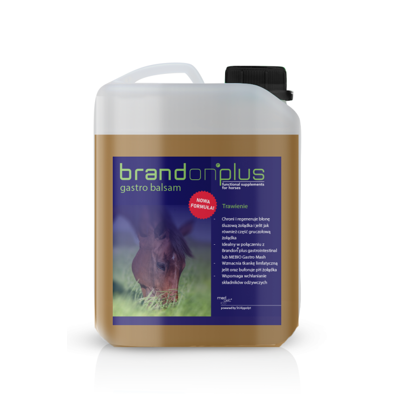 Brandon GastroBalsam balsam na wrzody 2,5l
