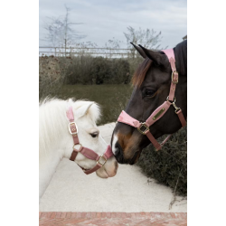 Kentucky kantar Velvet Unicorn Glitter różowy