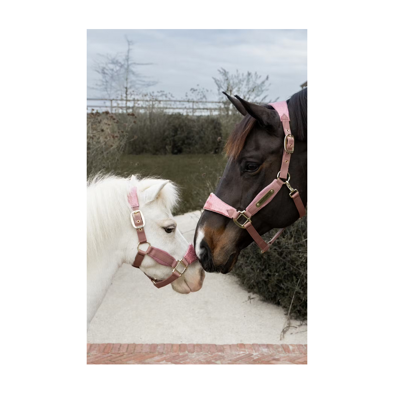 Kentucky kantar Velvet Unicorn Glitter różowy