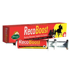 Mervue elektrolity, aminokwasy, witaminy Reco Boost 80ml