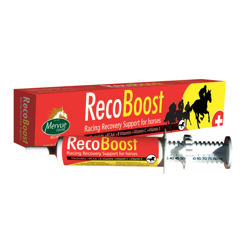 Mervue elektrolity, aminokwasy, witaminy Reco Boost 80ml