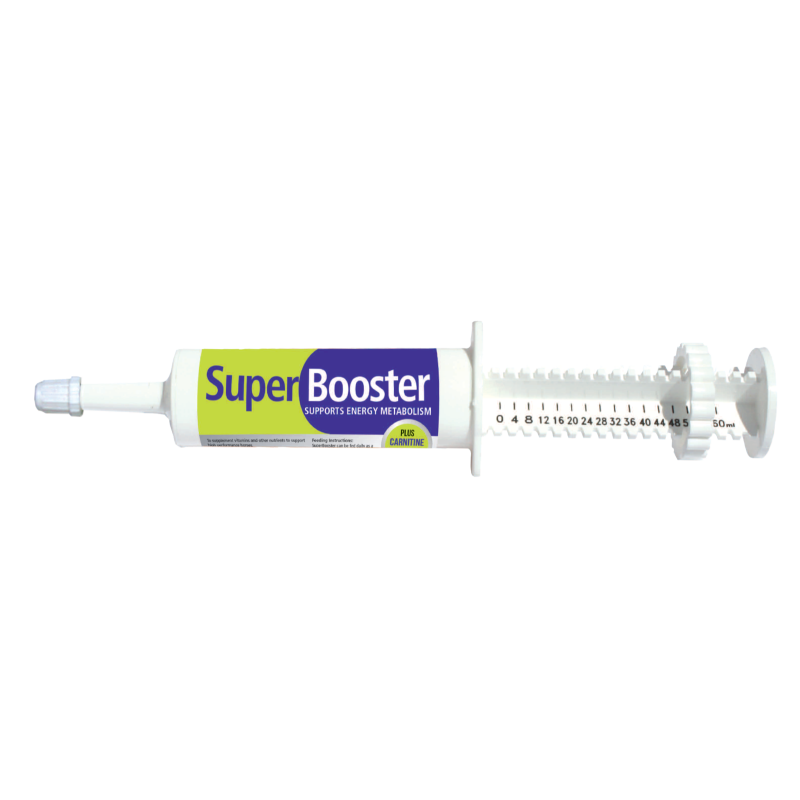 Mervue pasta energetyczna Super Booster 60ml