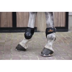 Kentucky ochraniacze Young Horse 1 tylne czarne