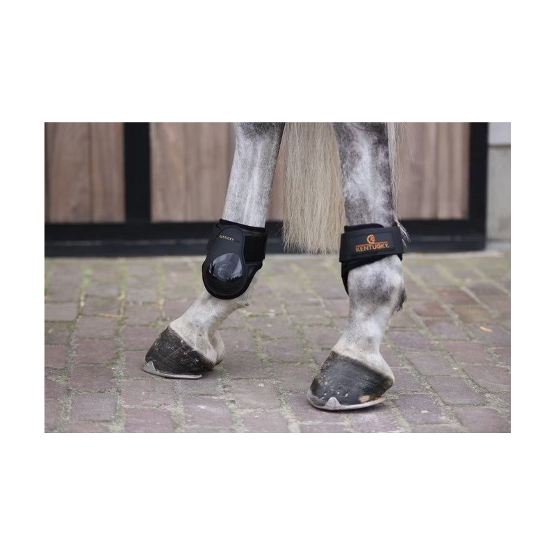 Kentucky ochraniacze Young Horse 1 tylne czarne