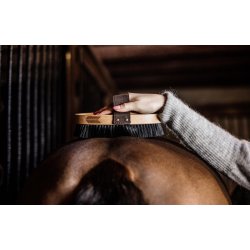 Kentucky szczotka Grooming Deluxe Overall Hard