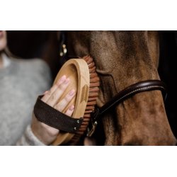 Kentucky szczotka Grooming Deluxe Overall Soft