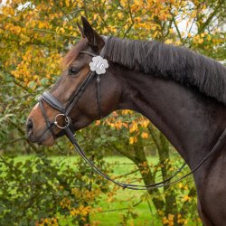 QHP numerek startowy Clover
