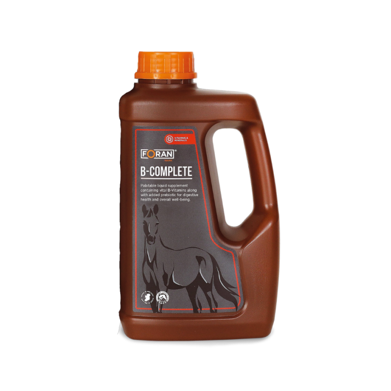Foran B-Complete witaminy z grupy B z dodatkiem prebiotyku 1L