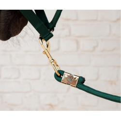 Kentucky uwiąz basic pine green 2m