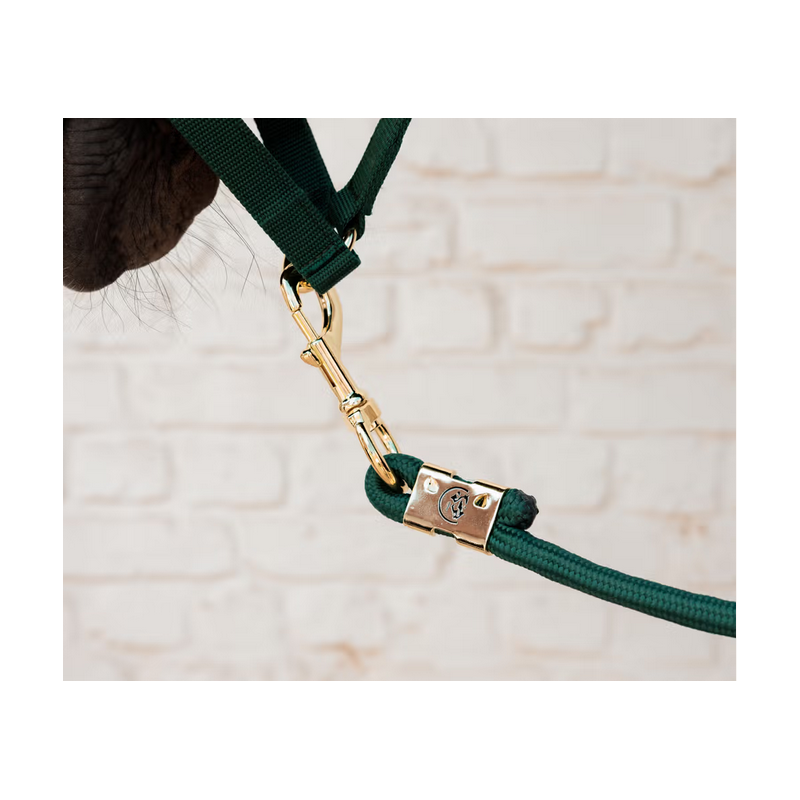 Kentucky uwiąz basic pine green 2m