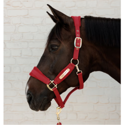 Kentucky kantar Velvet czerwony