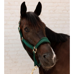 Kentucky kantar Velvet pine green