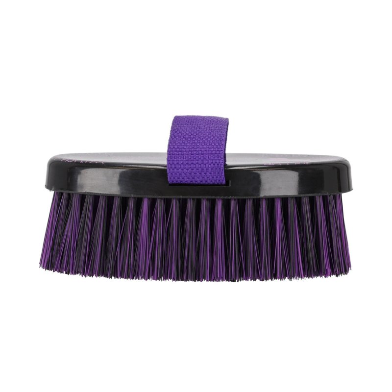 QHP szczotka Lize black/violet