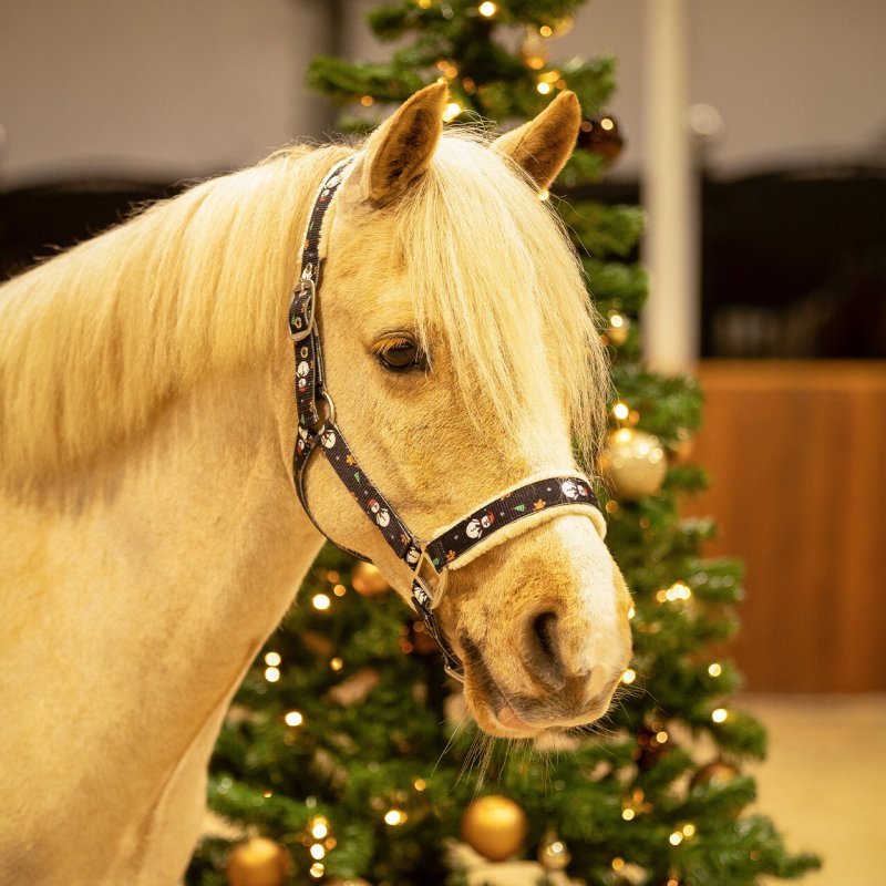 QHP kantar z futerkiem Christmas Snowman