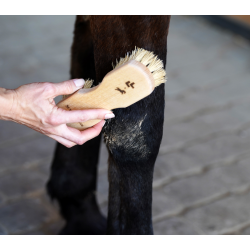 Lullalove szczotka do kurzu i błota Super Shine