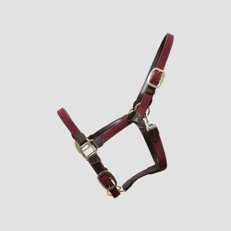 Kentucky kantar pleciony Plaited bordowy