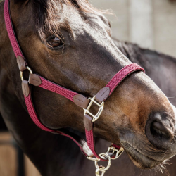 Kentucky kantar pleciony Plaited bordowy