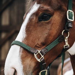 Kentucky kantar pleciony Plaited oliwkowy