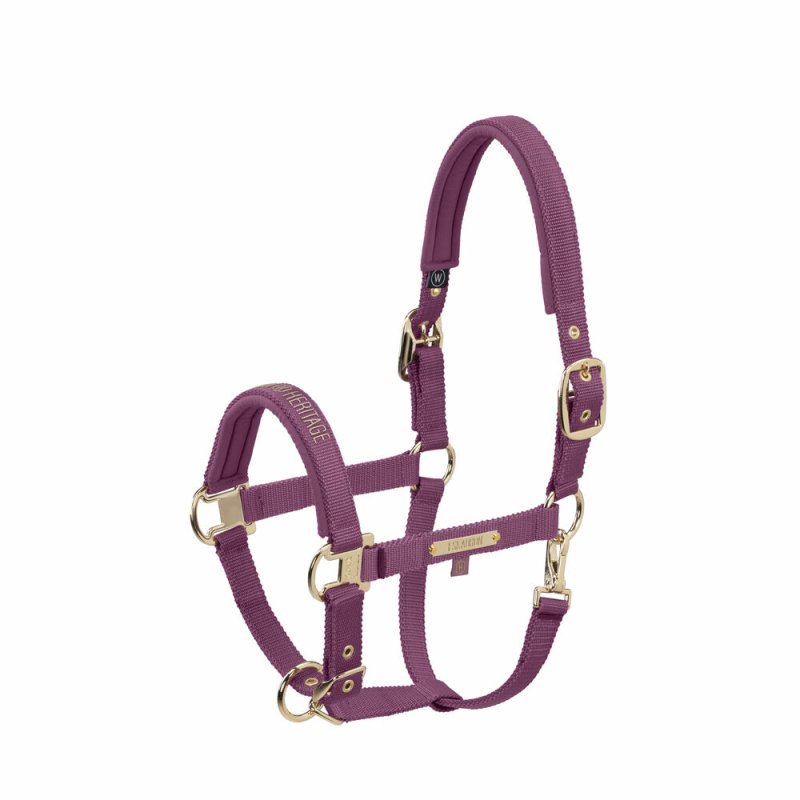 Eskadron kantar Girth Double Pin Heritage 25/26 wildberry