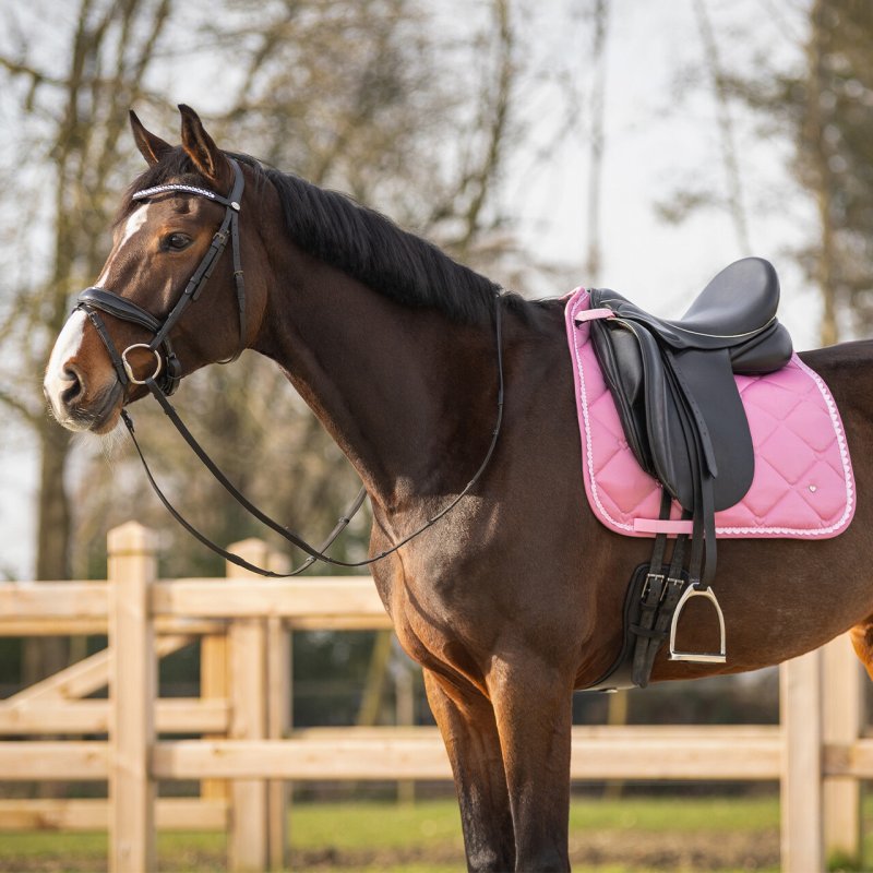 QHP czaprak Lyvia Pink