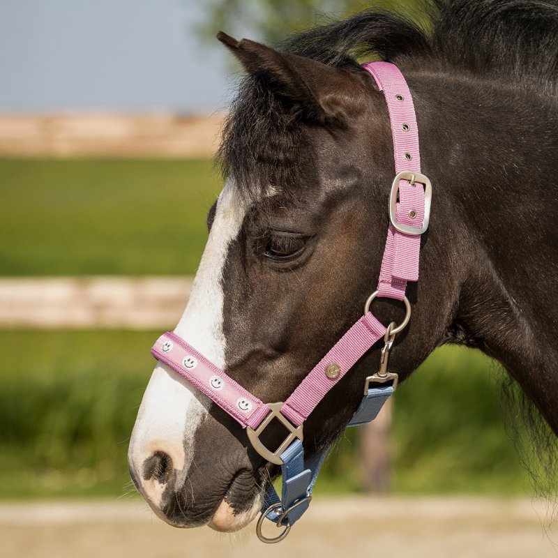QHP kantar Rosalynn pink/blue