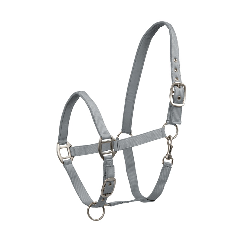 Waldhausen kantar Satin chrome grey