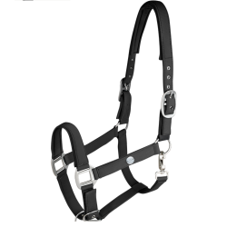 Waldhausen kantar Trinidad black