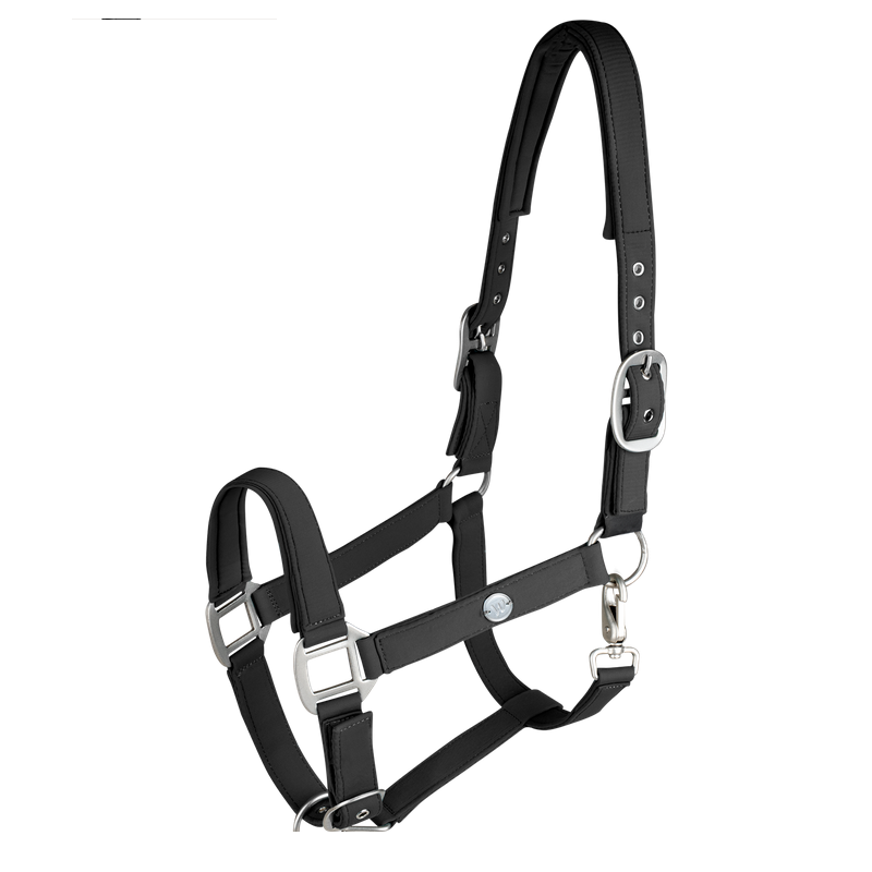 Waldhausen kantar Trinidad black