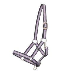 QHP kantar źrebięcy Foal Collection lavender haze