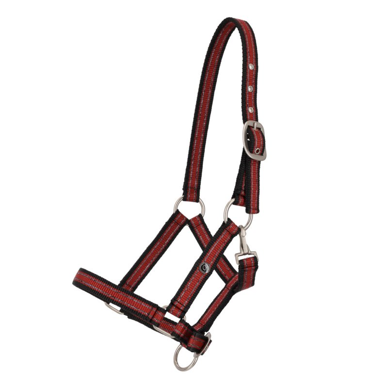 QHP kantar źrebięcy Foal Collection sunset red