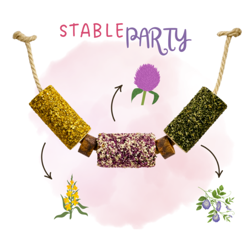 Candy Horse gryzak Stable Party