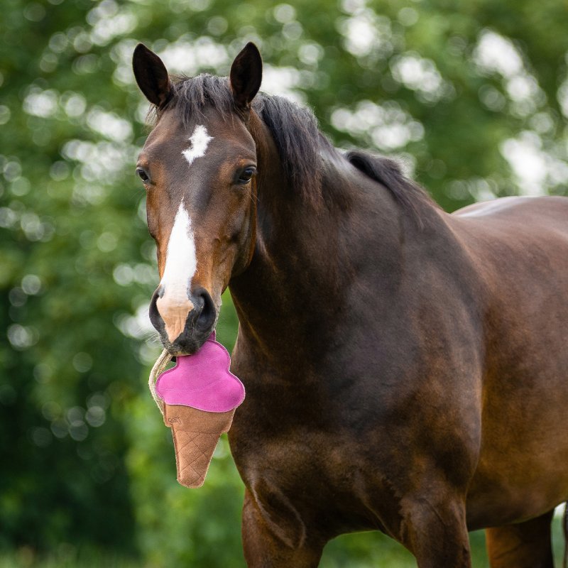 QHP zabawka dla konia Ice Cream